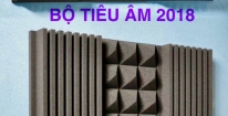 BỘ TIÊU ÂM  - 2018