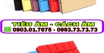 BỘ TIÊU ÂM  - 2018