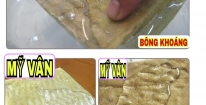 Bông Cách Âm